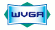 WVGA Display